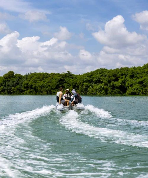 Moteur électrique hors bord Momentum